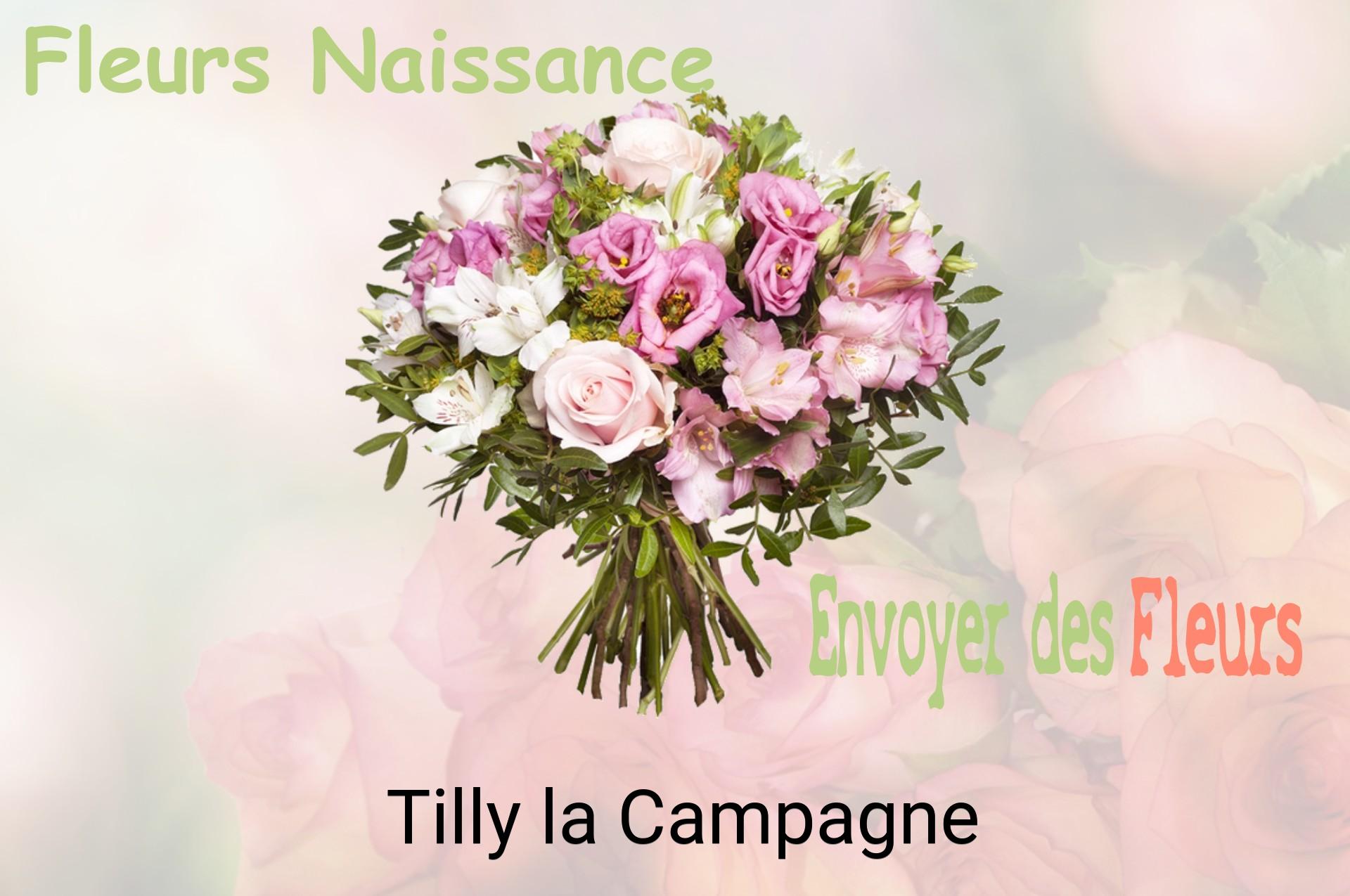 Bouquet de fleurs de naissance livré à Tilly-la-Campagne