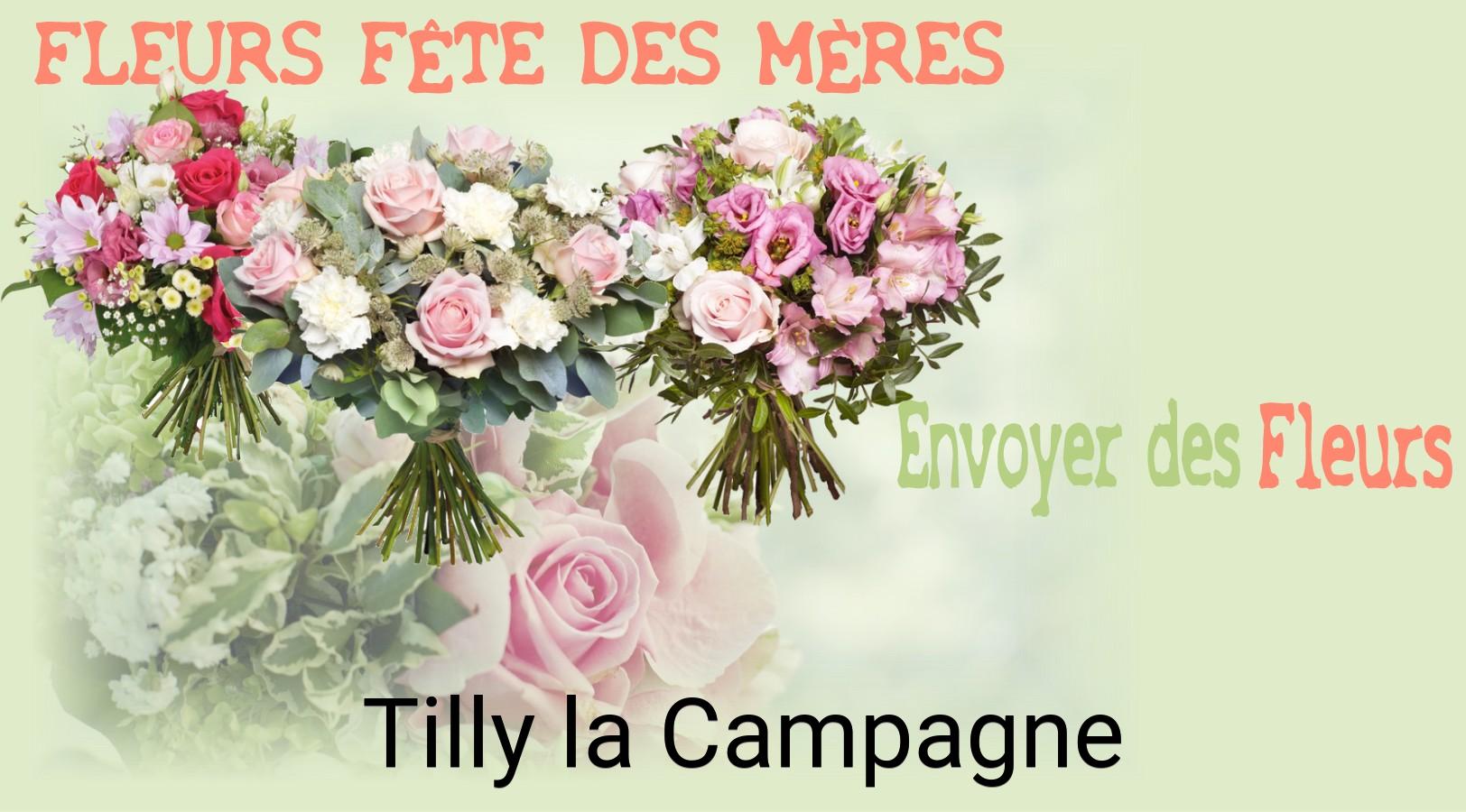 Bouquet de Fête des Mères livré à Tilly-la-Campagne
